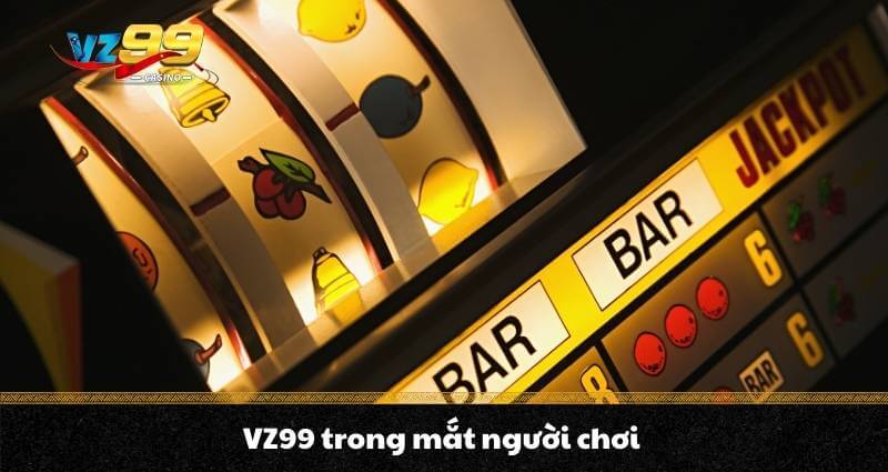 THƯƠNG HIỆU VZ99 2 VZ99 trong mắt người chơi